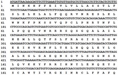 Isolation and characterization of the mink interferon-epsilon gene and its antiviral activity